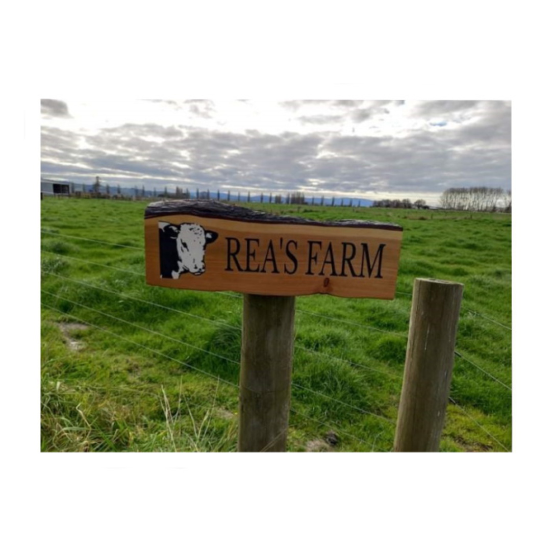 Macrocarpa 'Rea's Farm' Sign image 0